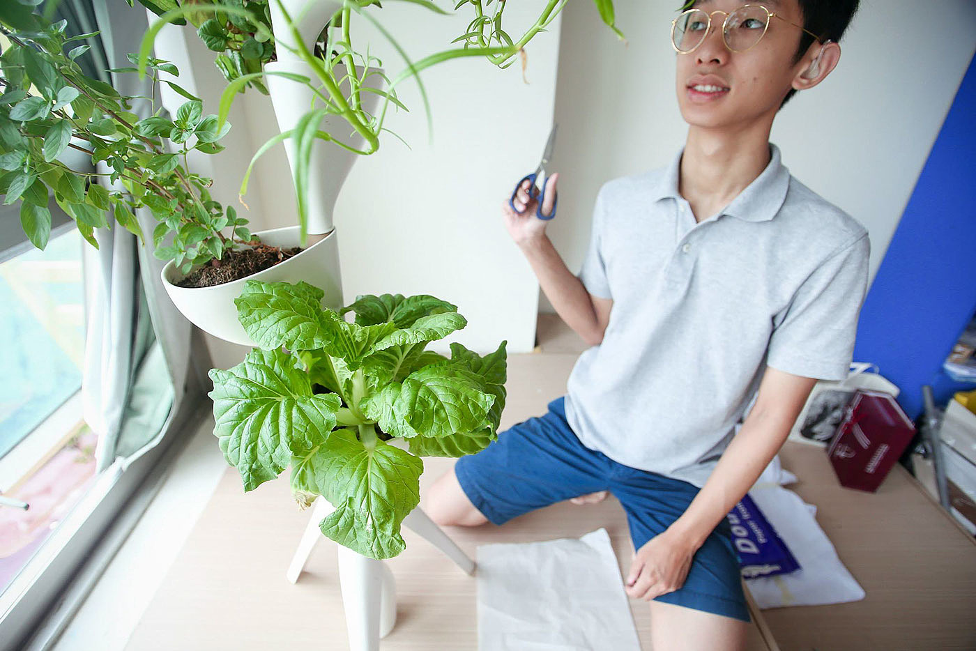 Miaomiao，Indoor planting，sharing economy，Agricultural planting，