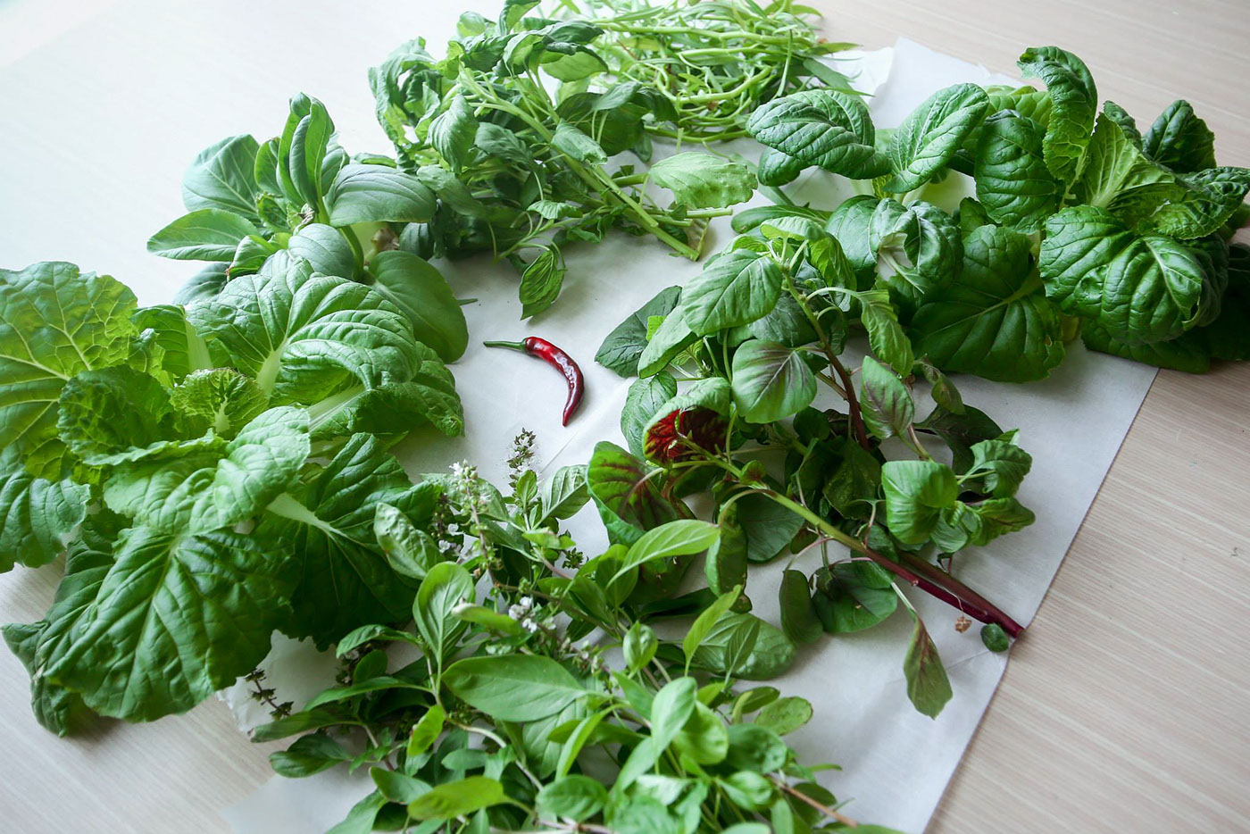 Miaomiao，Indoor planting，sharing economy，Agricultural planting，