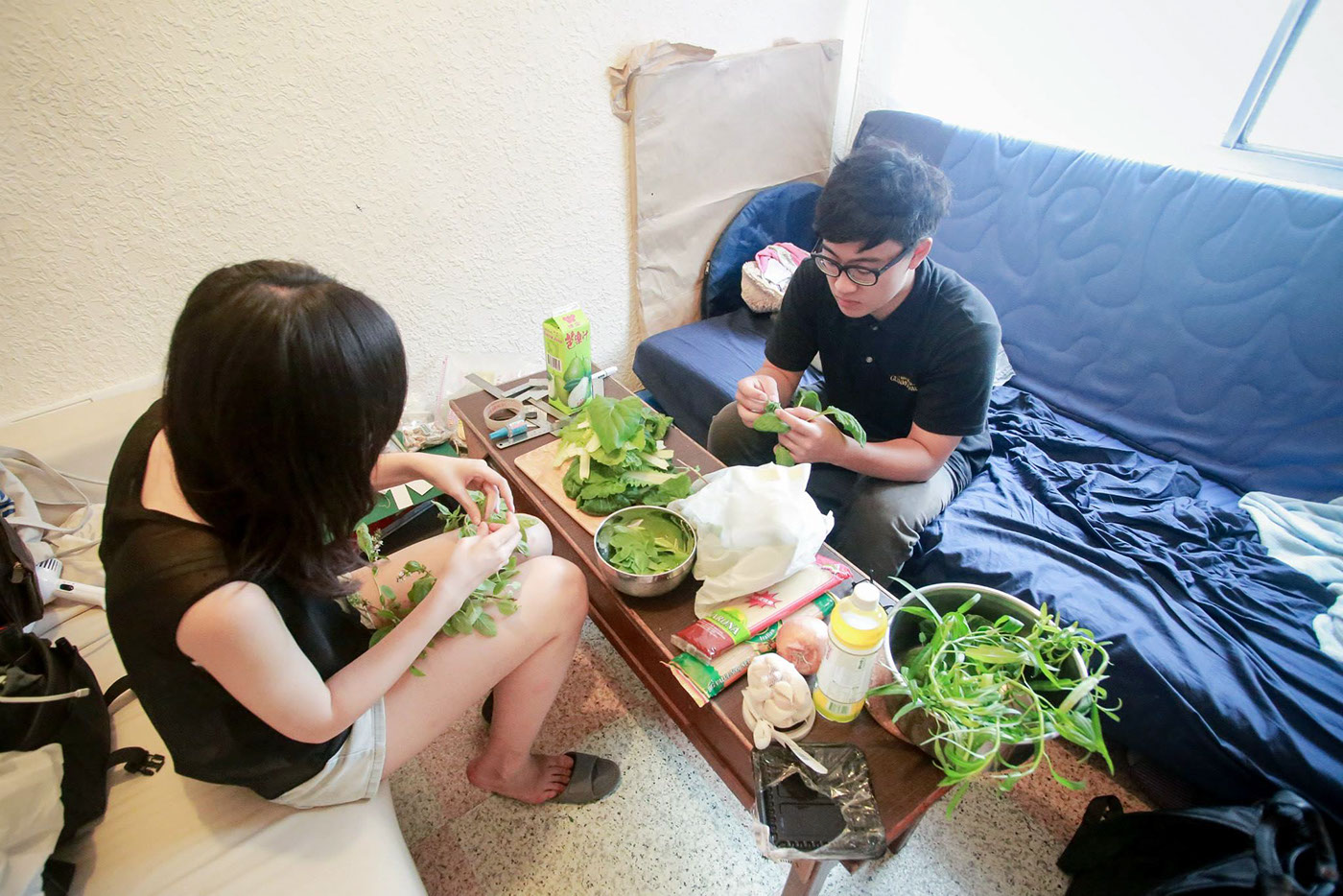 Miaomiao，Indoor planting，sharing economy，Agricultural planting，