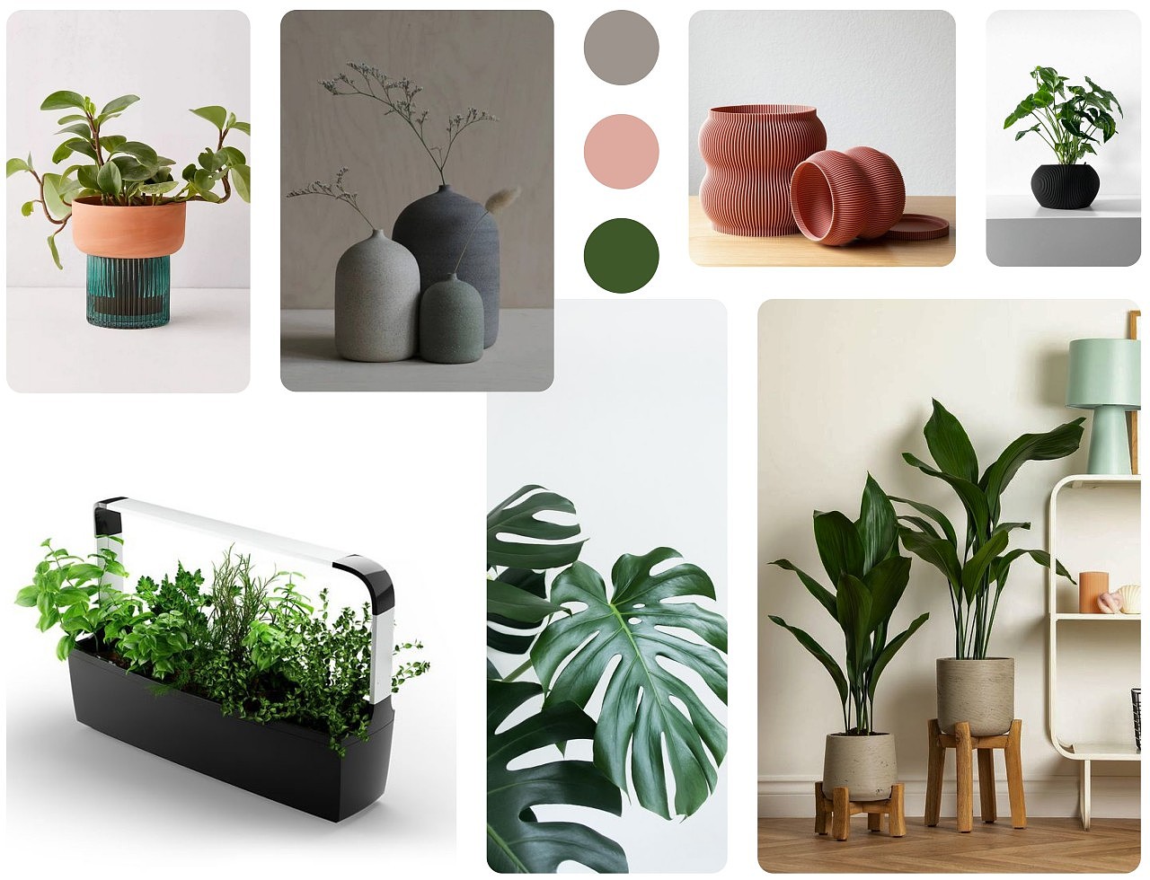 Potted plants，intelligence，product design，Botany，