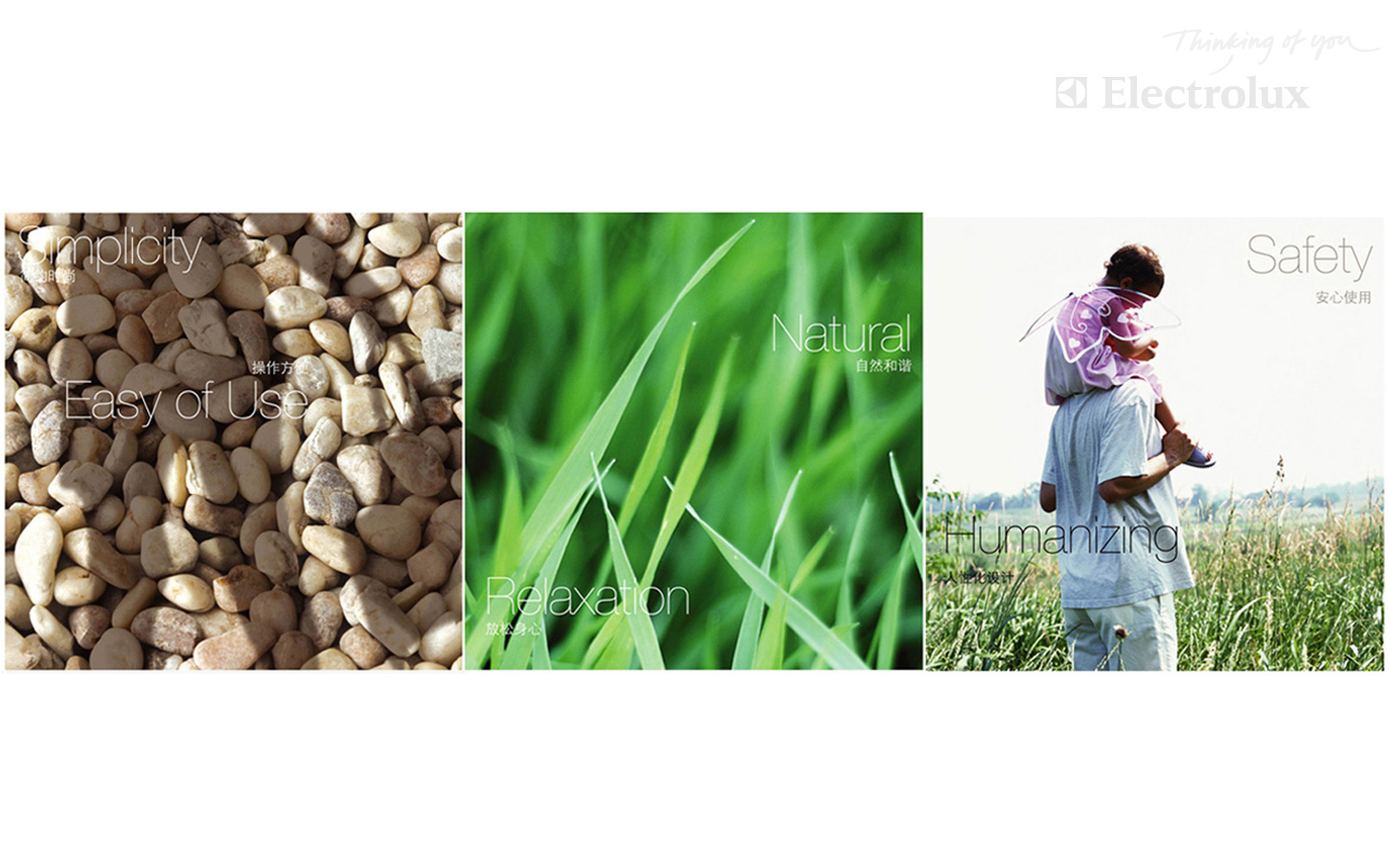 Refrigerator，household electrical appliances，Electrolux，