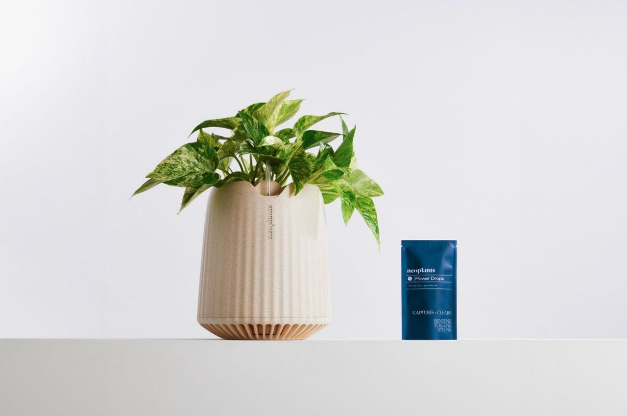 Green plant，Botany，Air purification，microorganism，life style，