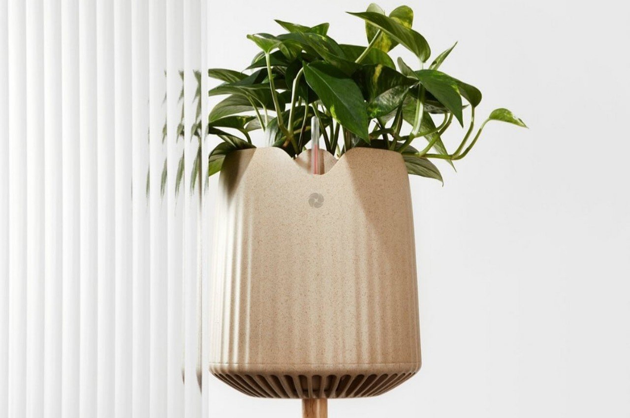 Green plant，Botany，Air purification，microorganism，life style，