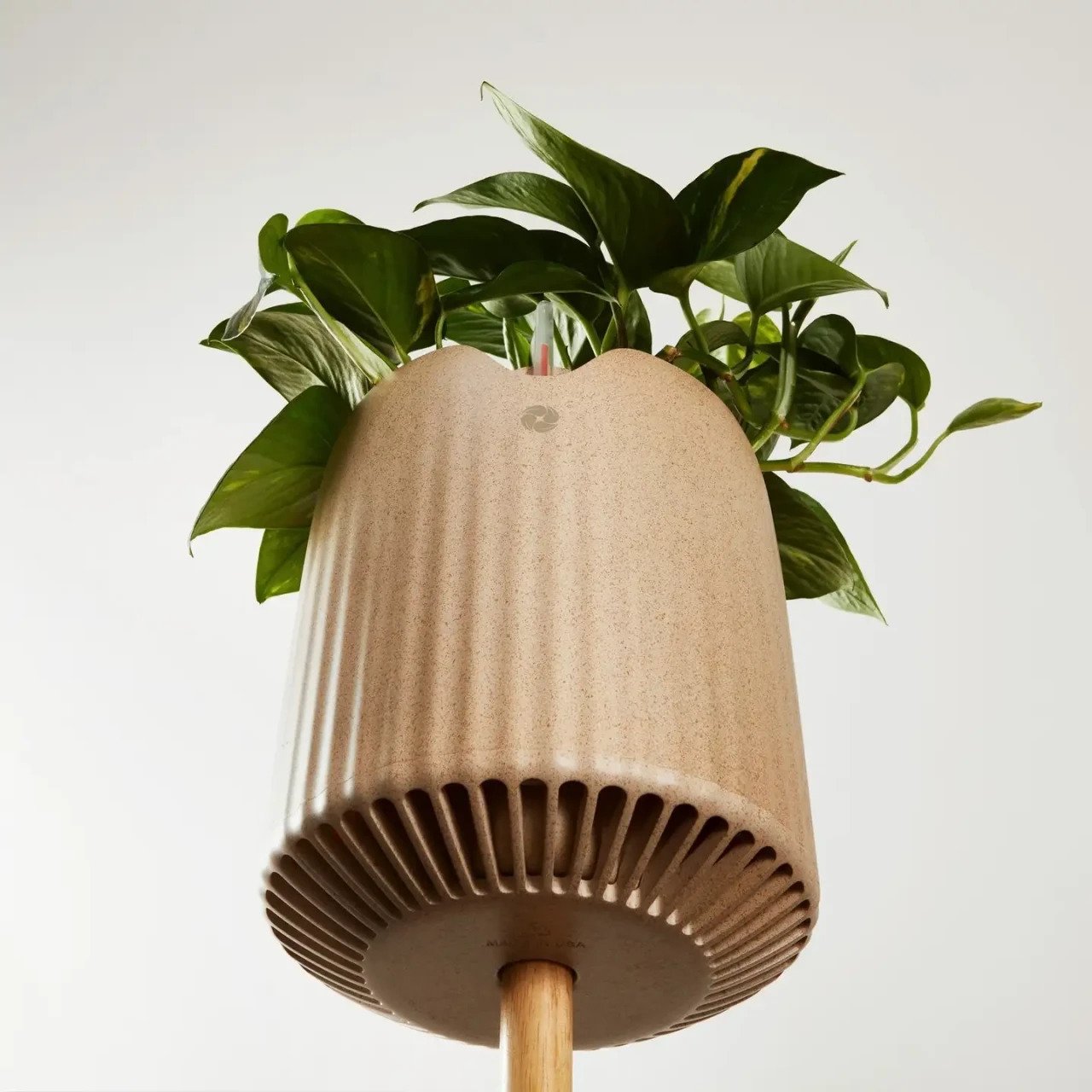 Green plant，Botany，Air purification，microorganism，life style，