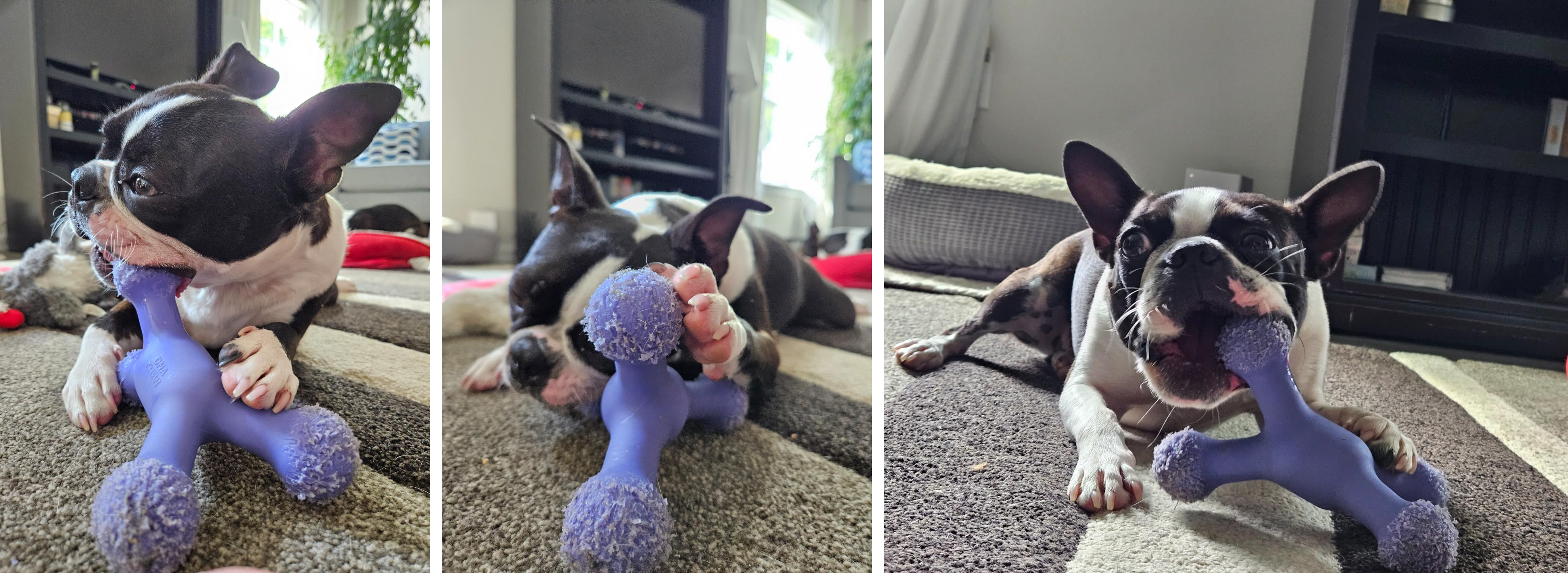 dog chew toy, strong chew, bone, dog toy，