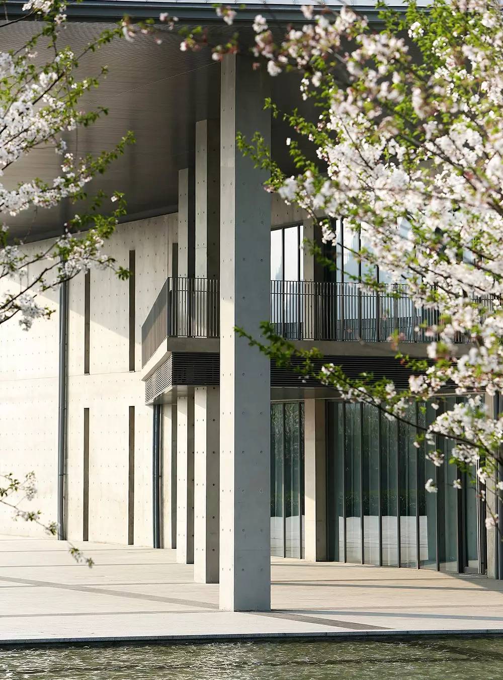 East West integration，Light and wind，natural，cement，geometry，