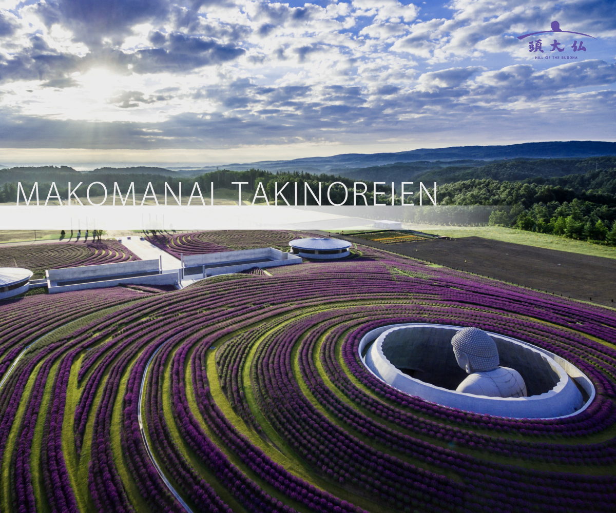 East West integration，Light and wind，natural，cement，geometry，