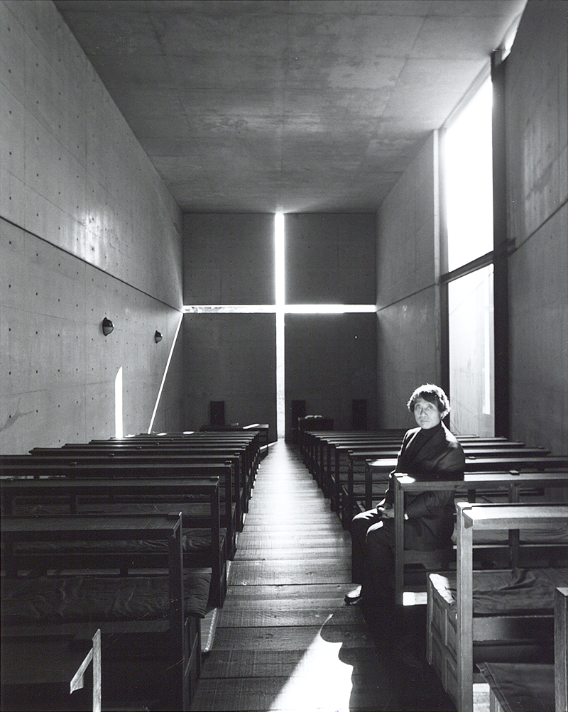 East West integration，Light and wind，natural，cement，geometry，