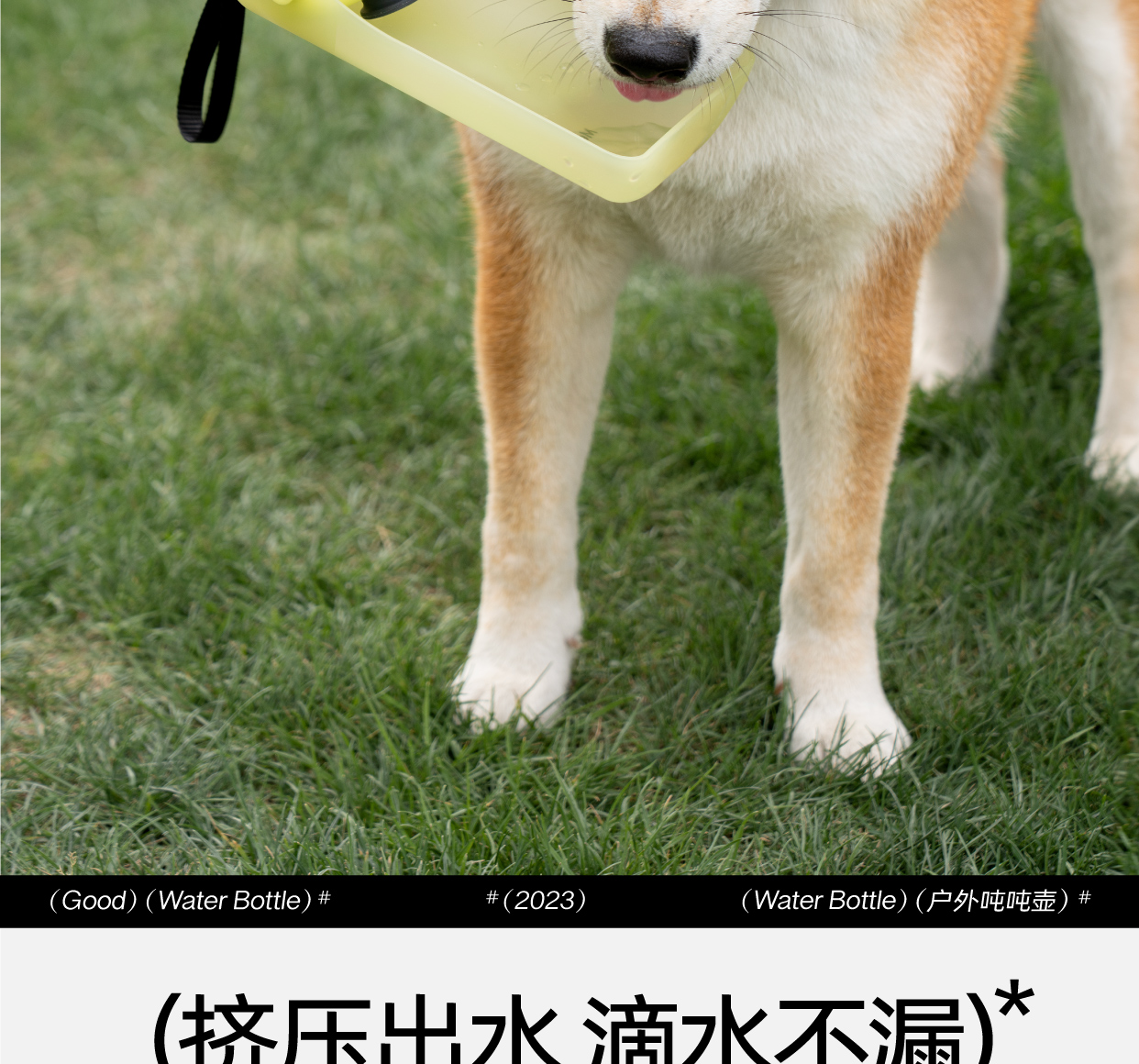 Pet Supplies & Pet，Pet going out kettle，