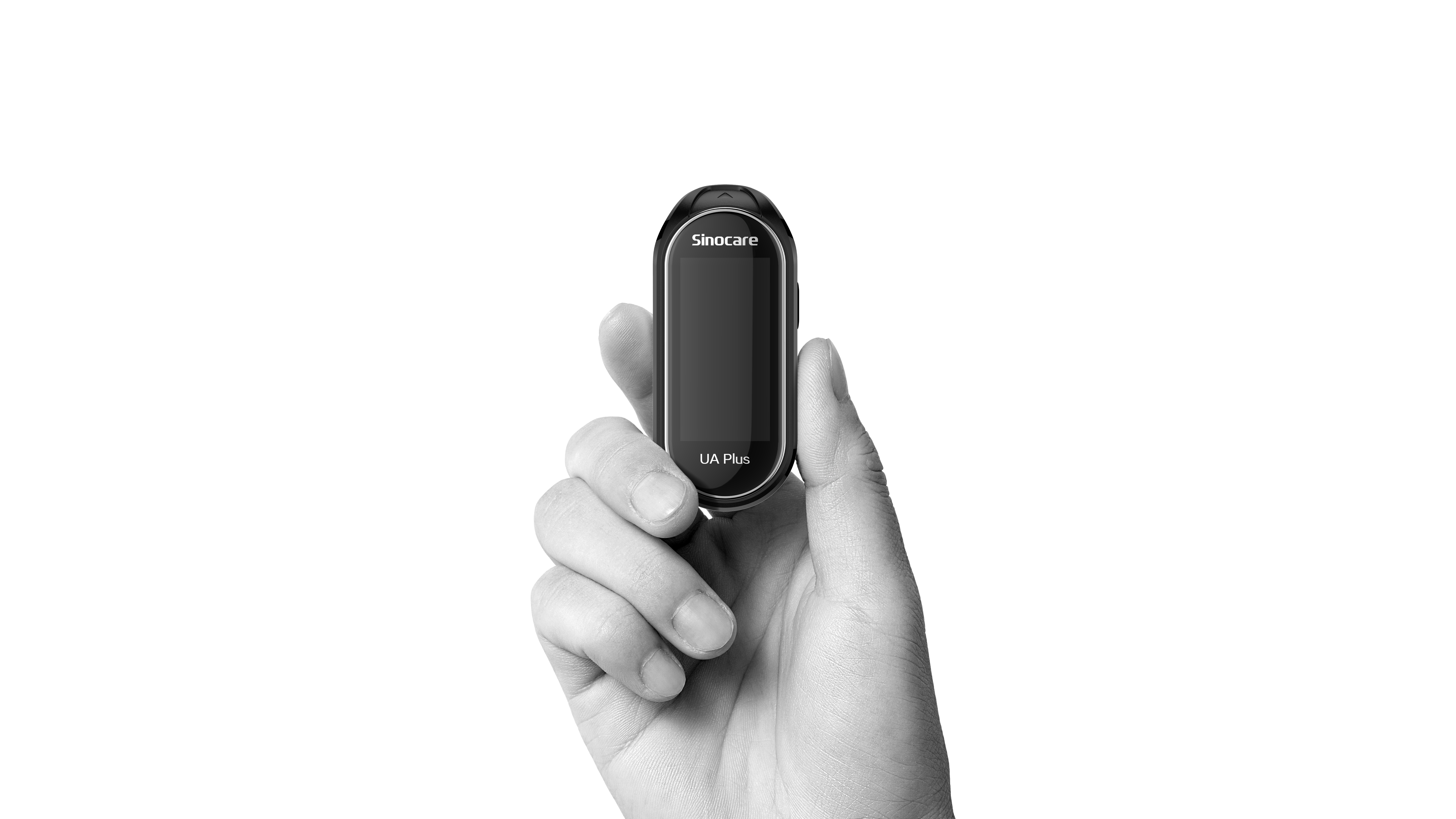 Rendering, Animation，