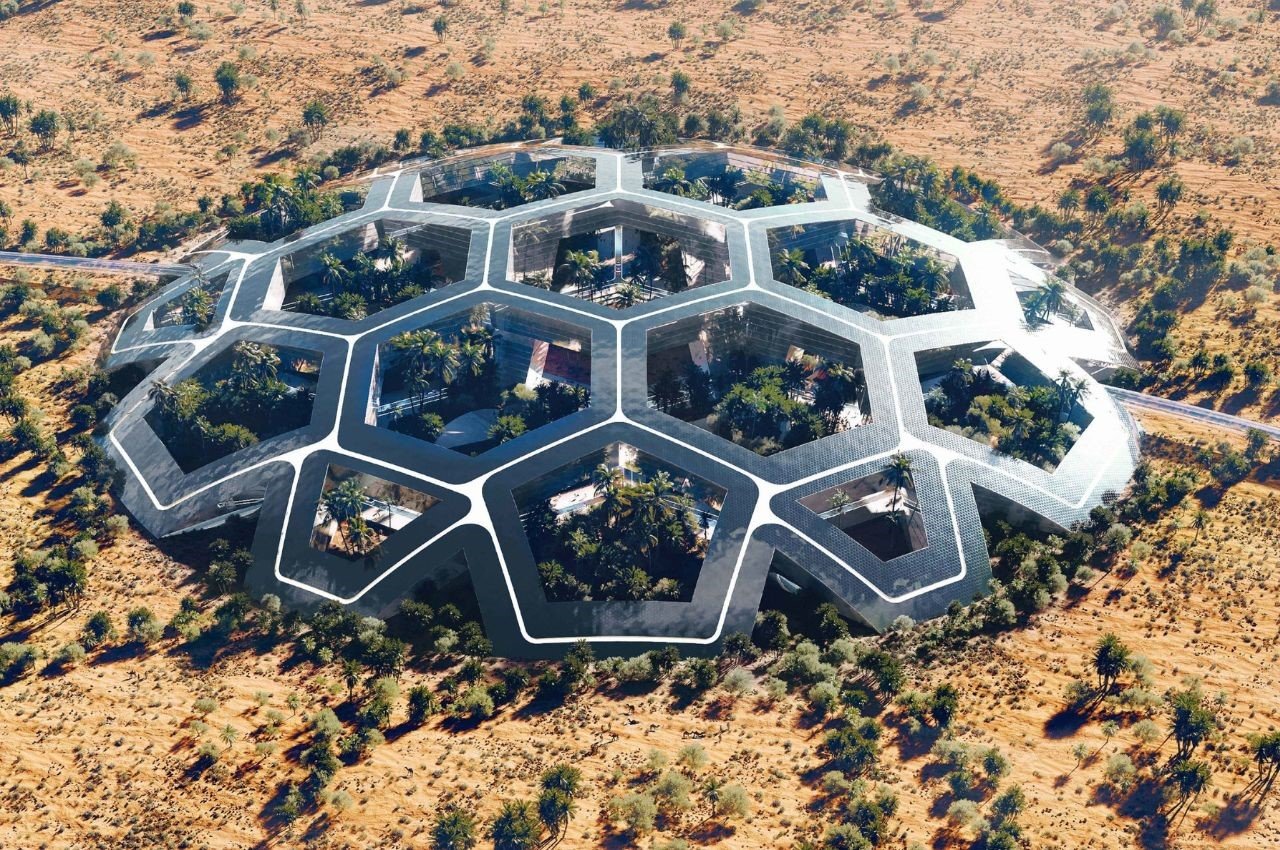 protect，cohesive force，Functionality，Biotech，