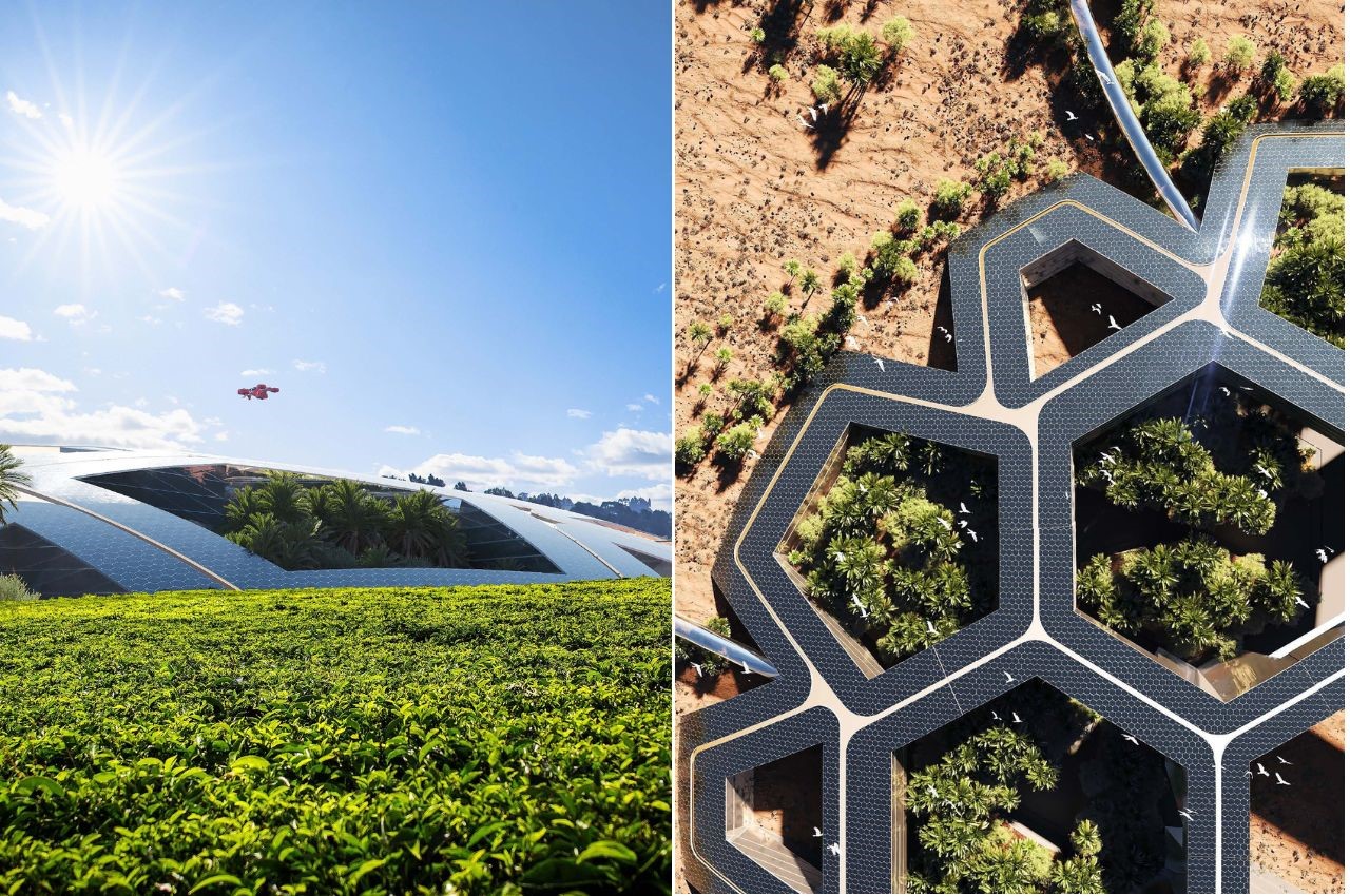 protect，cohesive force，Functionality，Biotech，