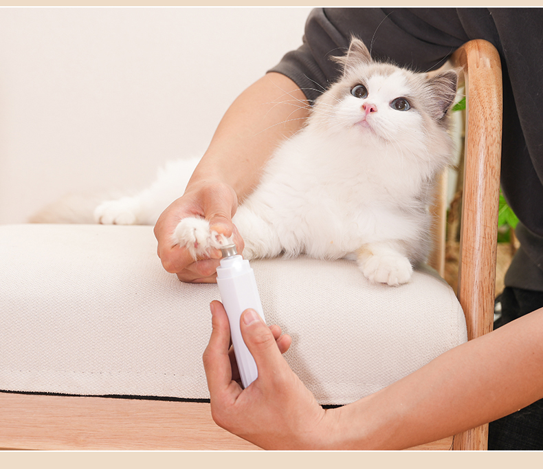 Nail sharpener，Pet nail sharpener，Pet Supplies & Pet，