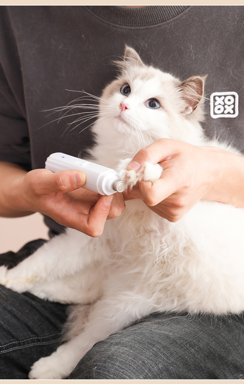 Nail sharpener，Pet nail sharpener，Pet Supplies & Pet，