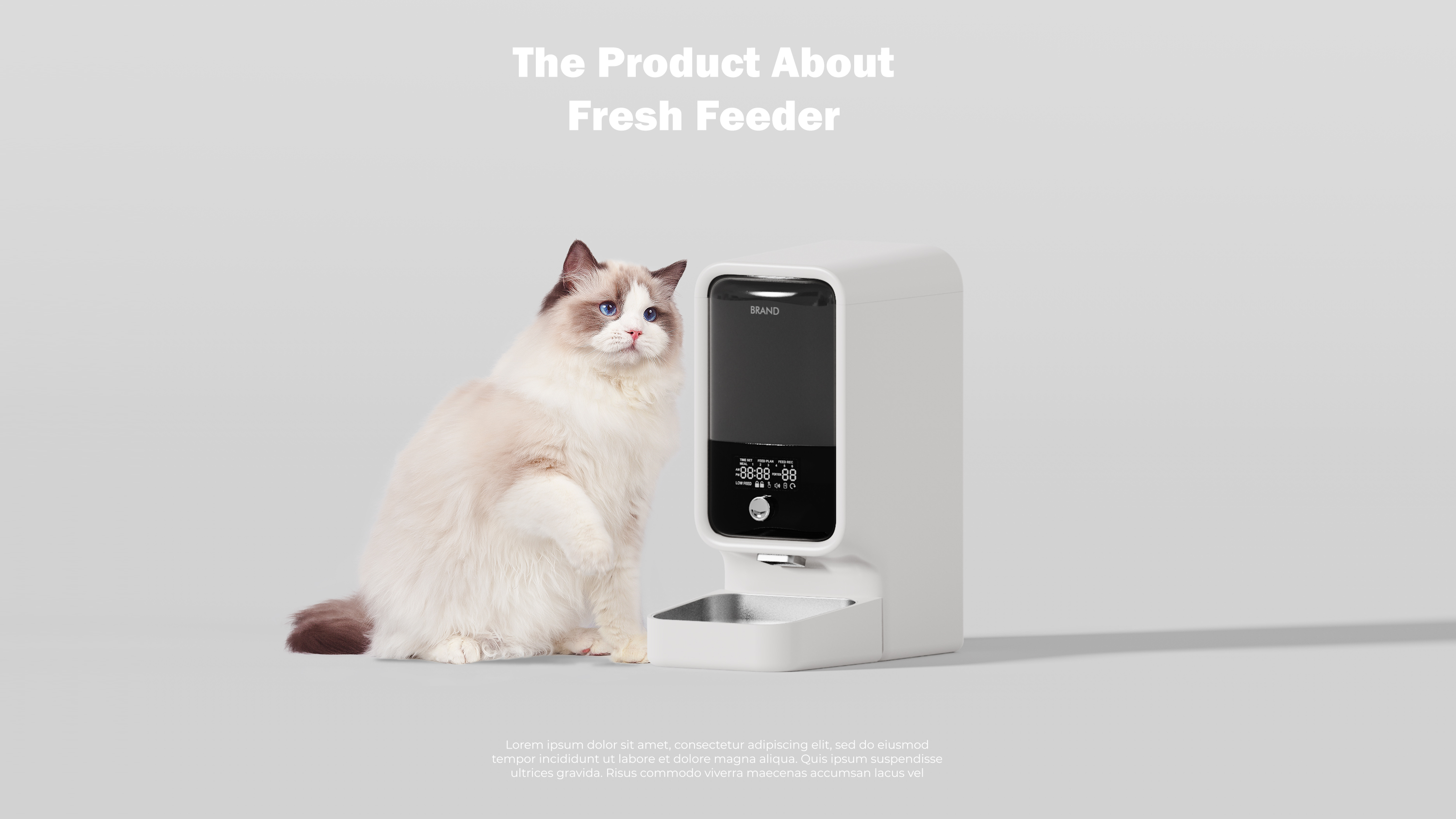 Pets，Feeder，Pet feeder，intelligence，