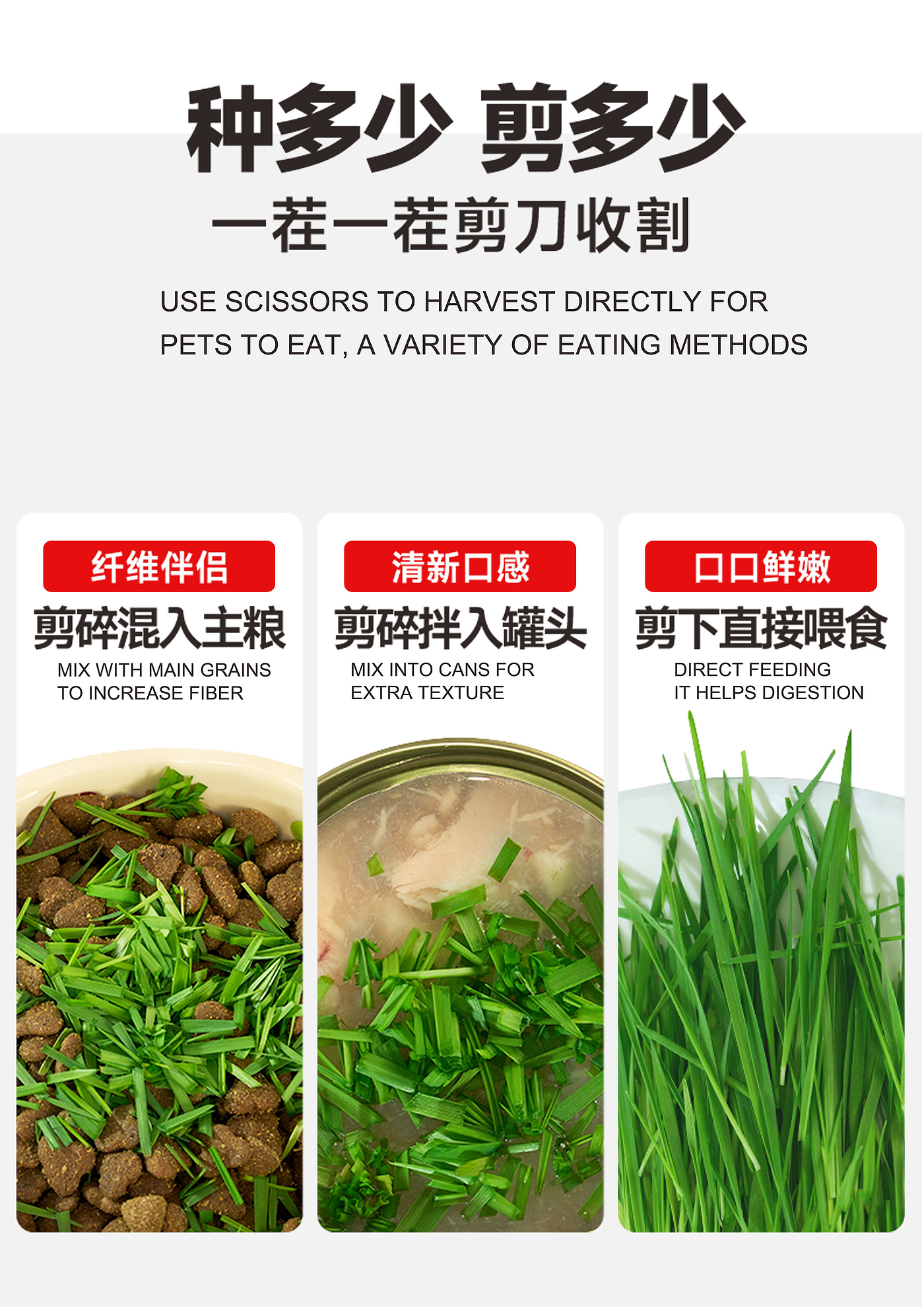 Cat grass，User experience，packing design，Planting suit，