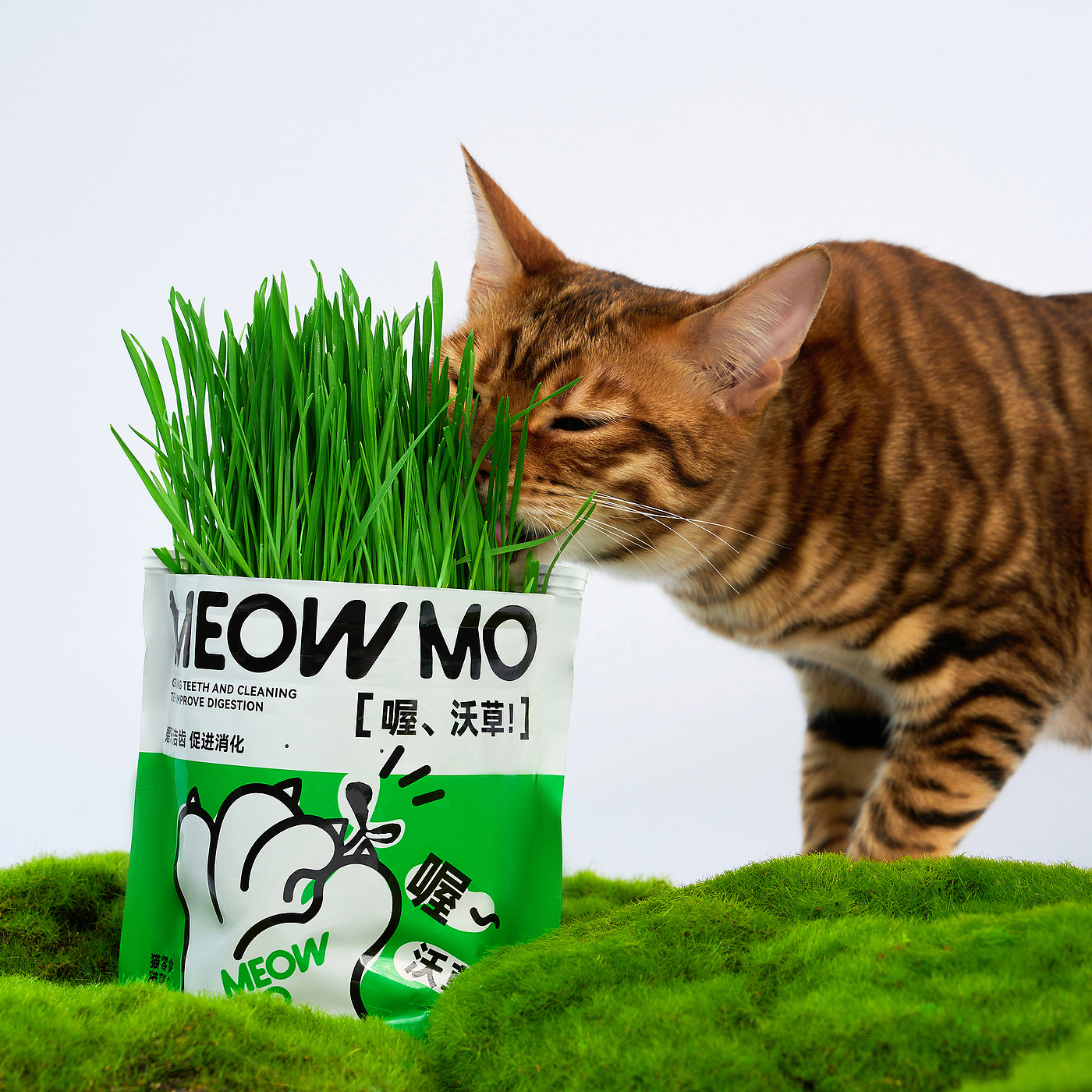 Cat grass，User experience，packing design，Planting suit，