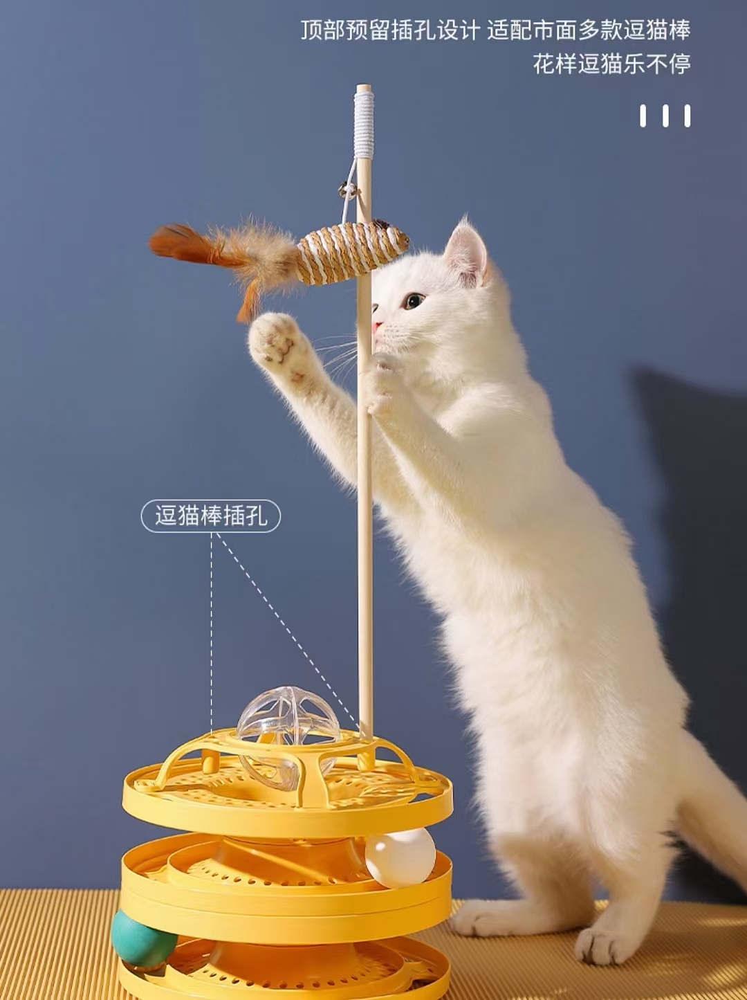 Pet products，