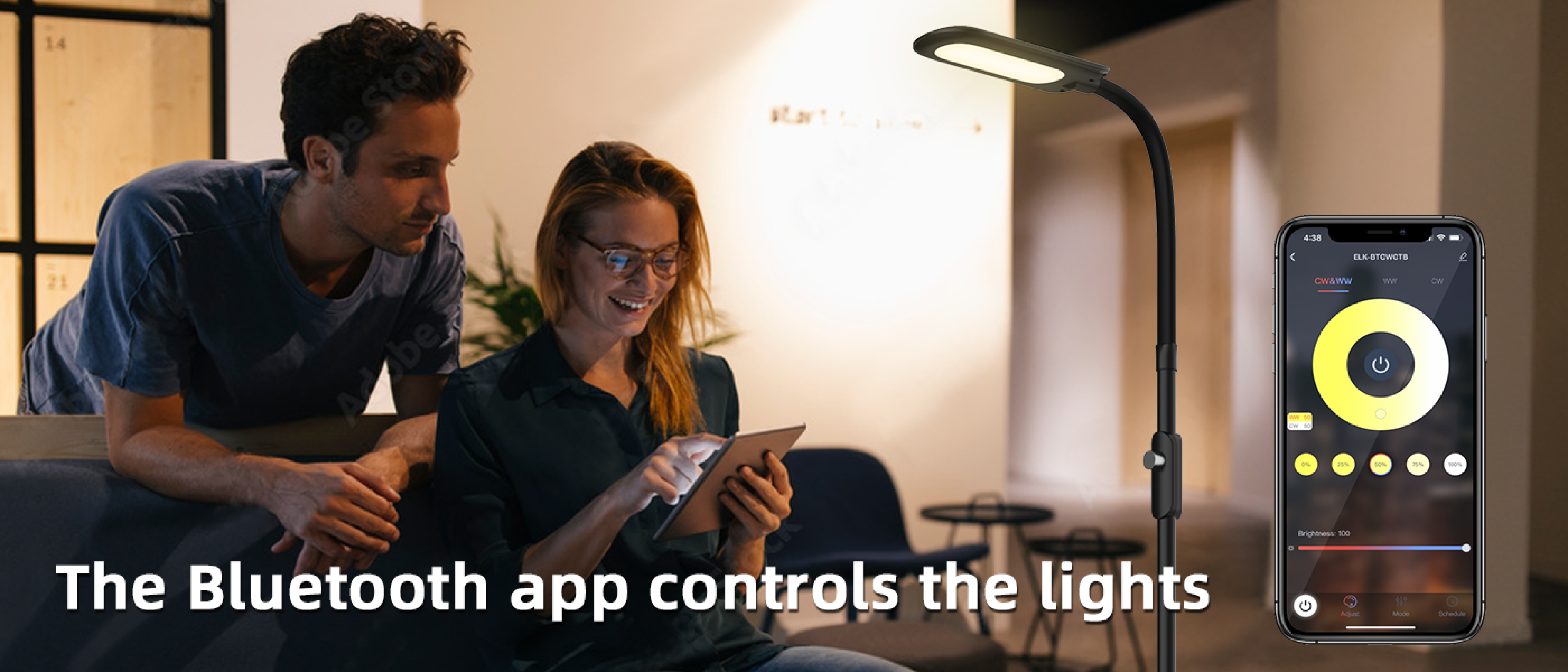 Floor lamp，Atmosphere lamp，GVVOO HOME: Sofa two-color floor lamp，LED floor lamp，