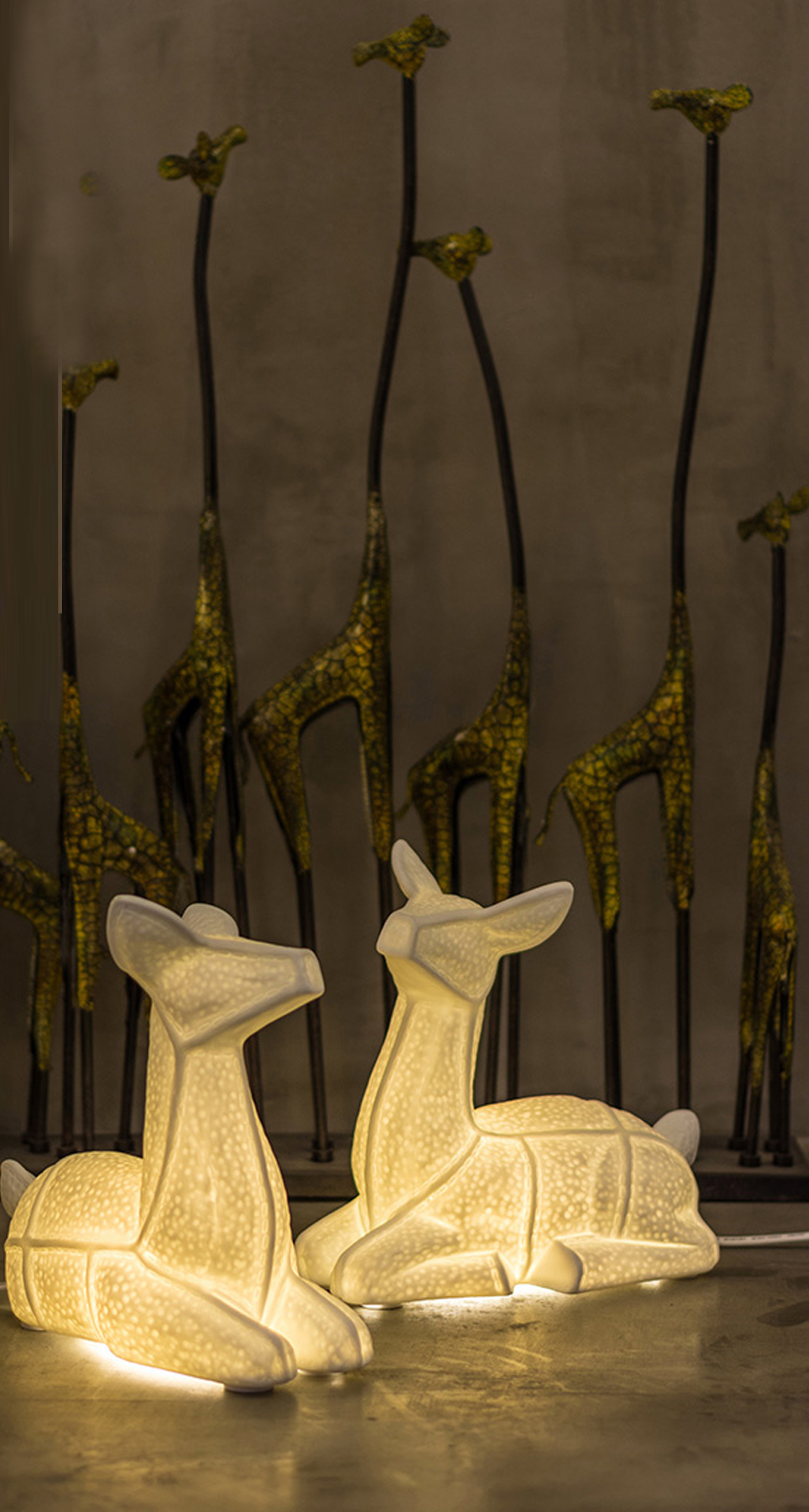 good fortune，Night light，