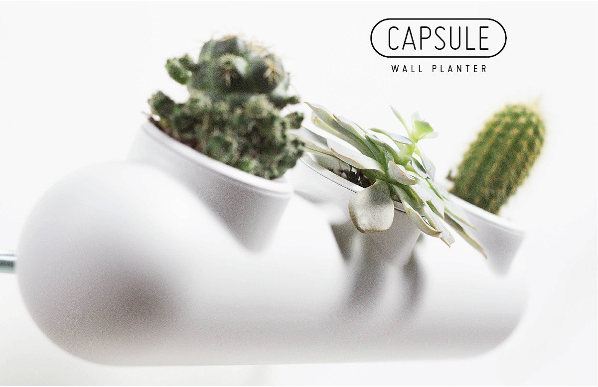 Capsule，Wall Planter，Home furnishings，Succulent plants，Wall hanging capsule，