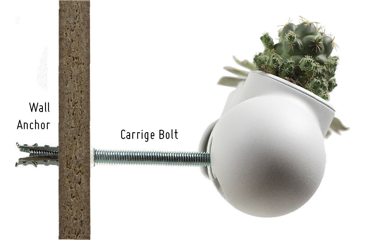 Capsule，Wall Planter，Home furnishings，Succulent plants，Wall hanging capsule，