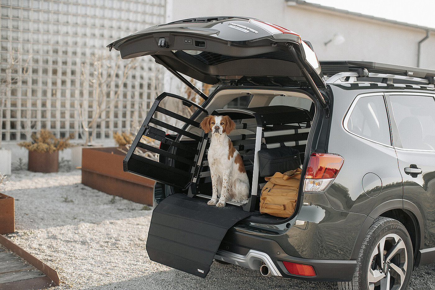 2024 Red Dot Product Design Award，mobility，Car dog box，