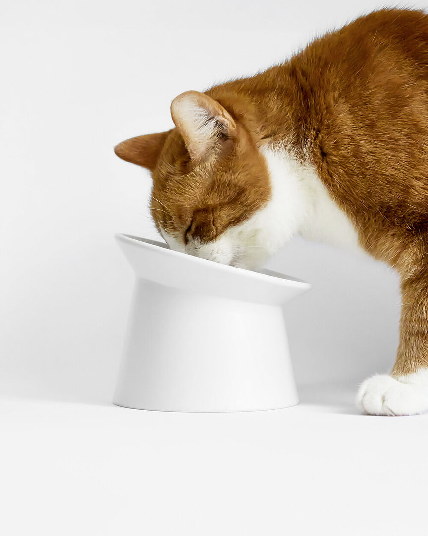 2024 Red Dot Product Design Award，Outdoor & Sports & Leisure，Pet Supply，