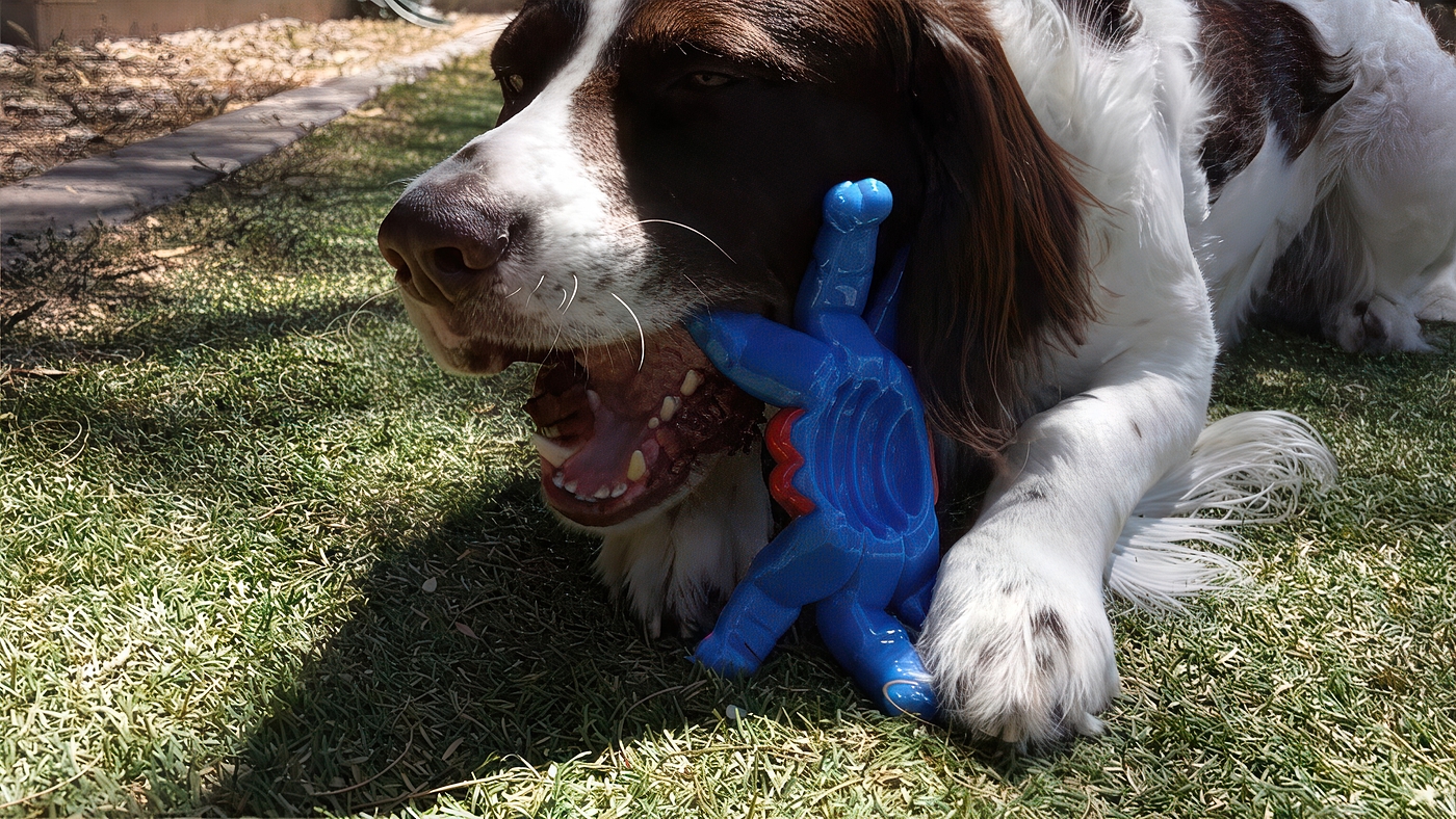 pet toy, nylon toy, dog, canine, pet, clean teeth，