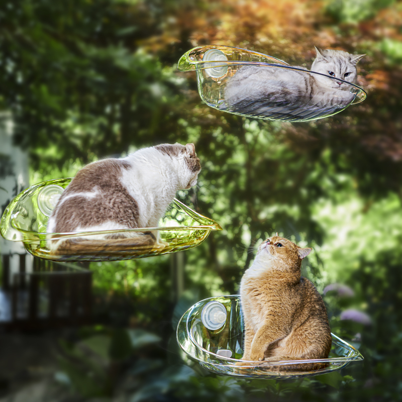 Hammock，transparent，experience，Cat due to engineering，
