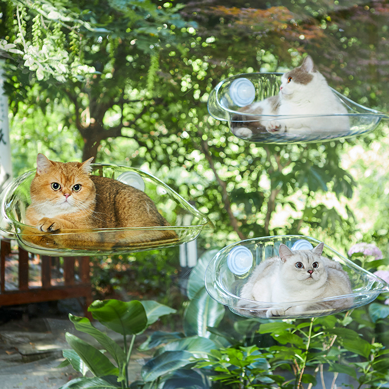 Hammock，transparent，experience，Cat due to engineering，