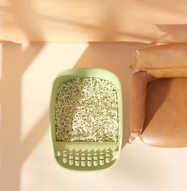 Receive，Pets，experience，