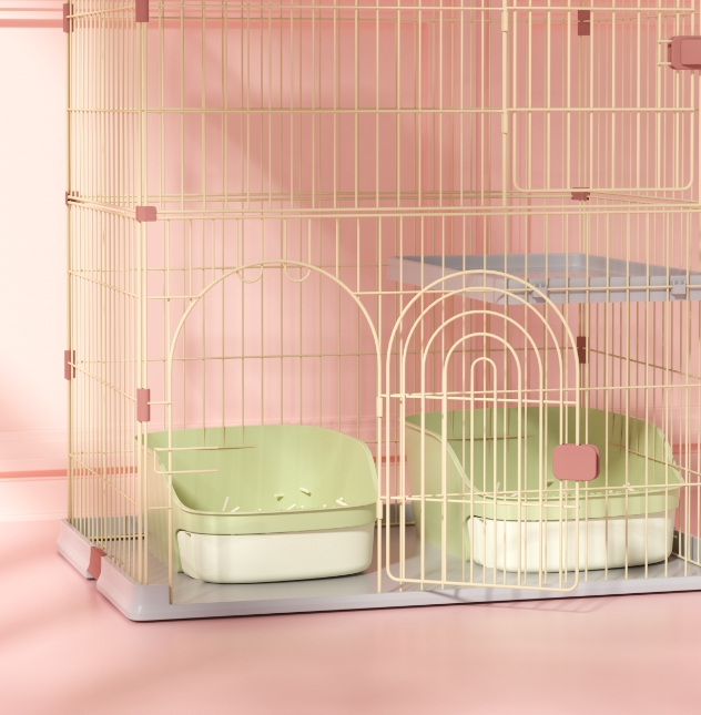 Receive，Pets，experience，