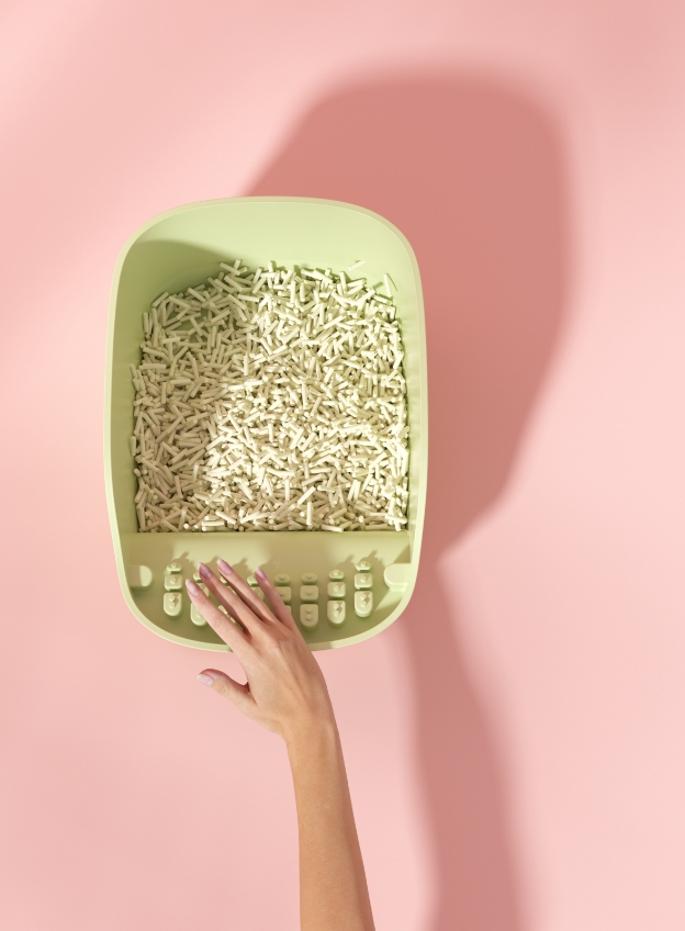 Receive，Pets，experience，