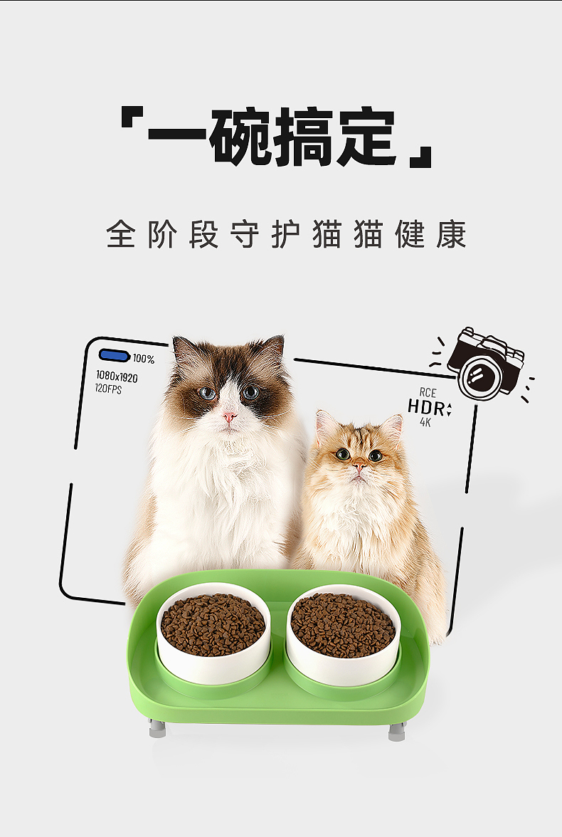 Cat due to engineering，Pet Supplies & Pet，user's experience，