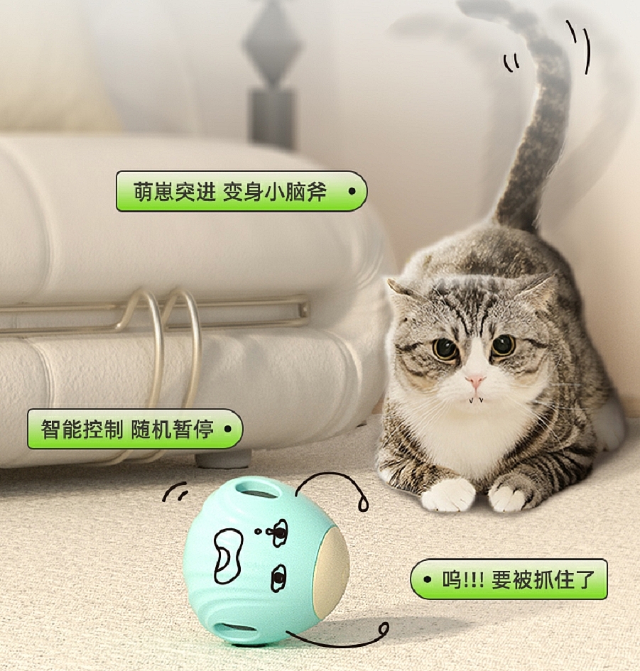 Smart Cat，
