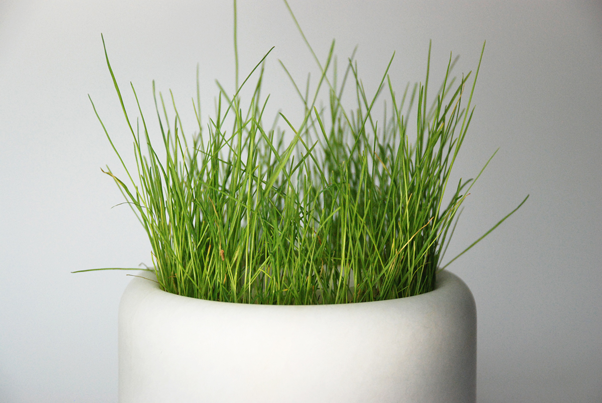 Nature Opus，Pot picking，Alabaster，pen container，Handmade，