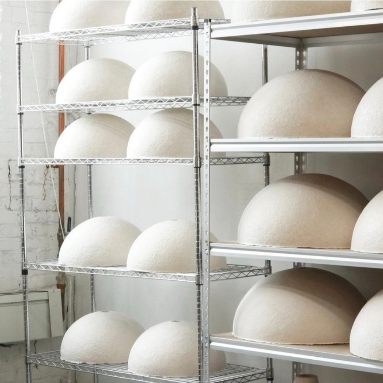 Mycelium，Sustainable development，reproducible ，environment protection，