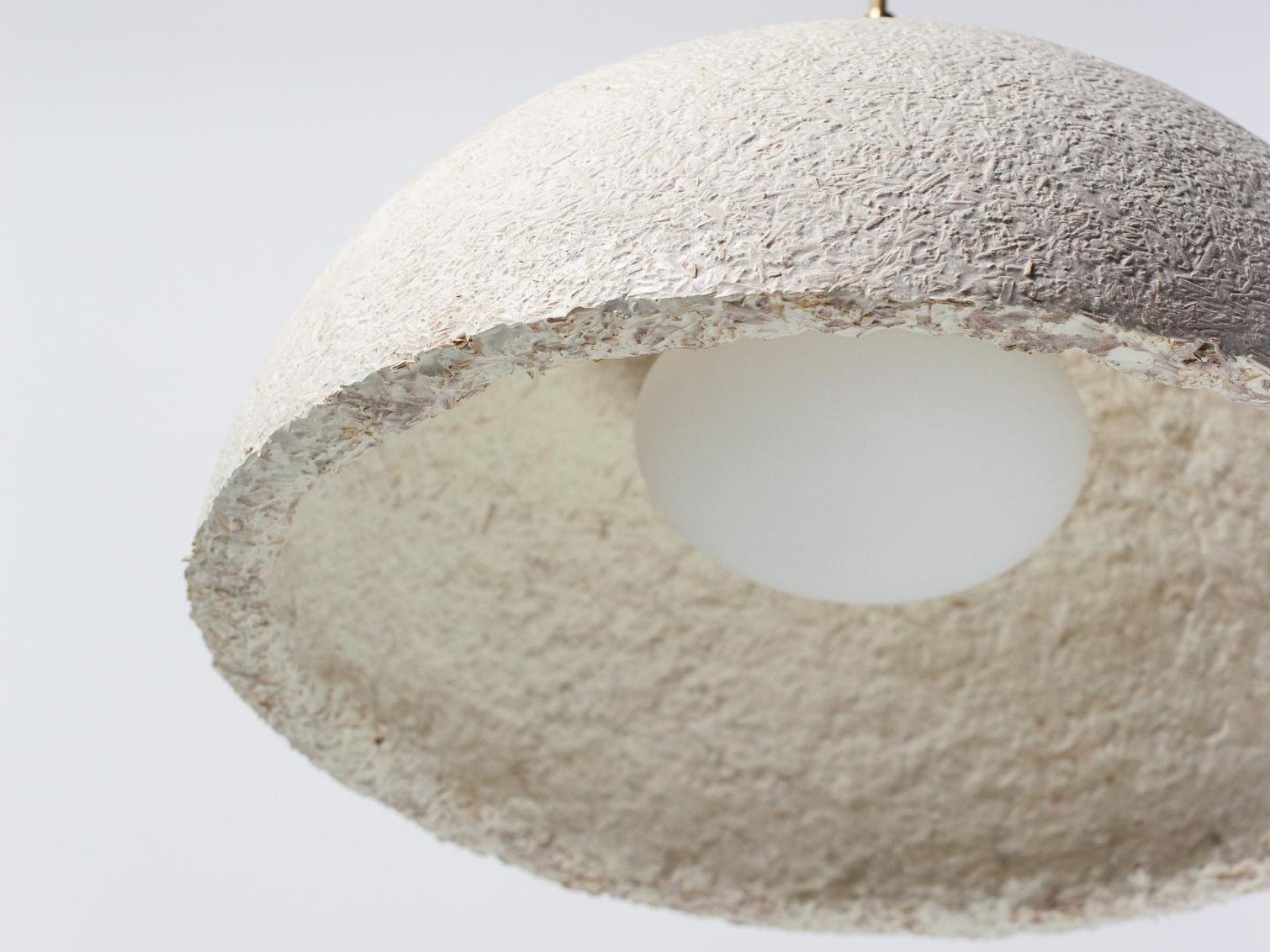 Mycelium，Sustainable development，reproducible ，environment protection，