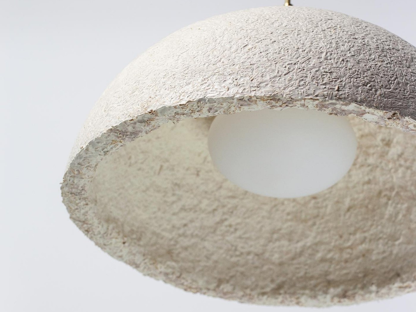 Mycelium，Sustainable development，reproducible ，environment protection，