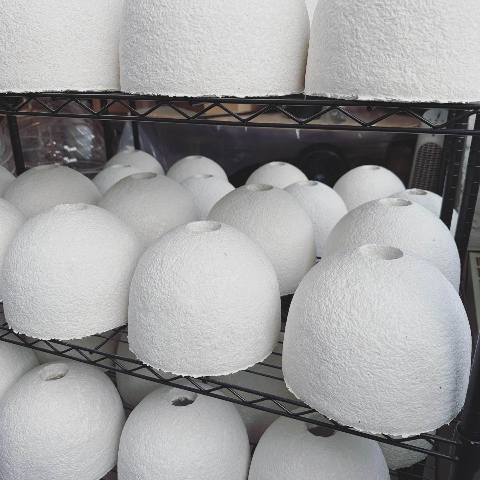 Mycelium，Sustainable development，reproducible ，environment protection，