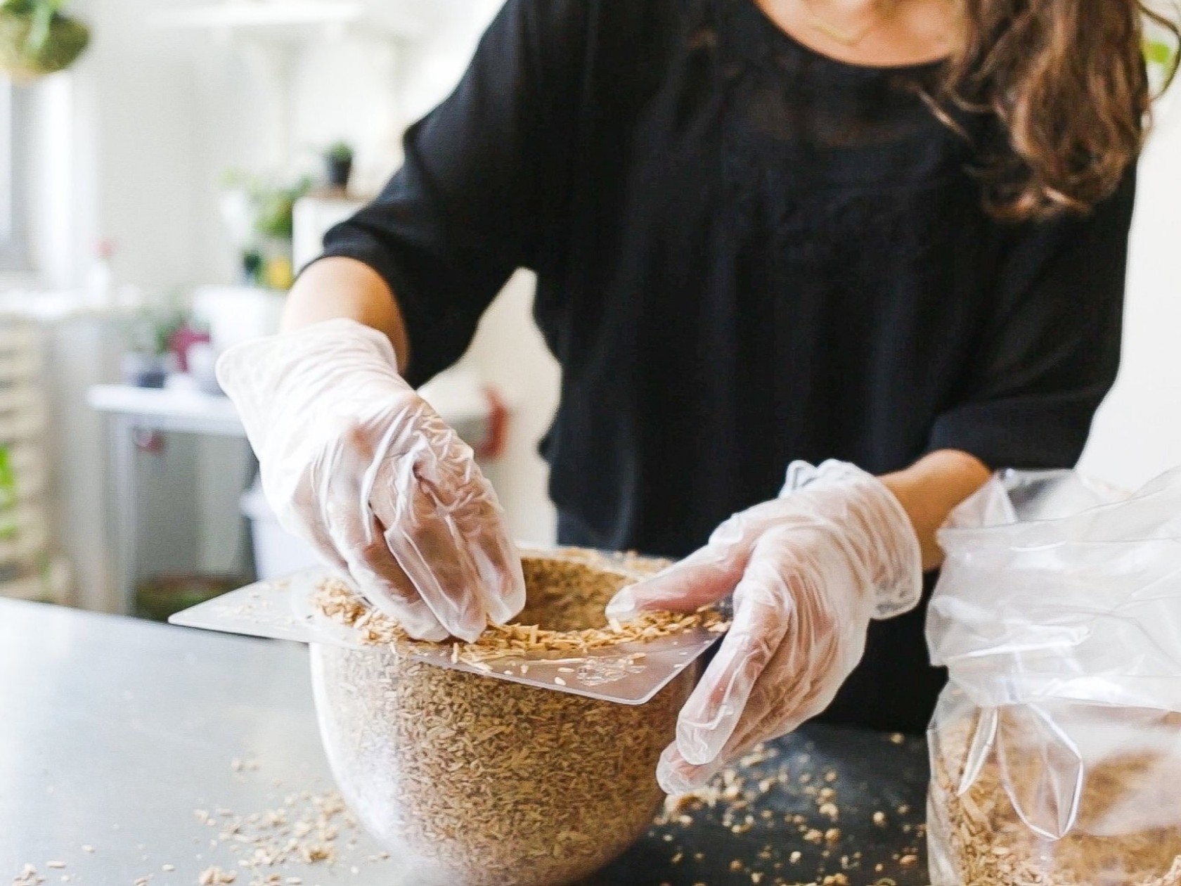 Mycelium，Sustainable development，reproducible ，environment protection，