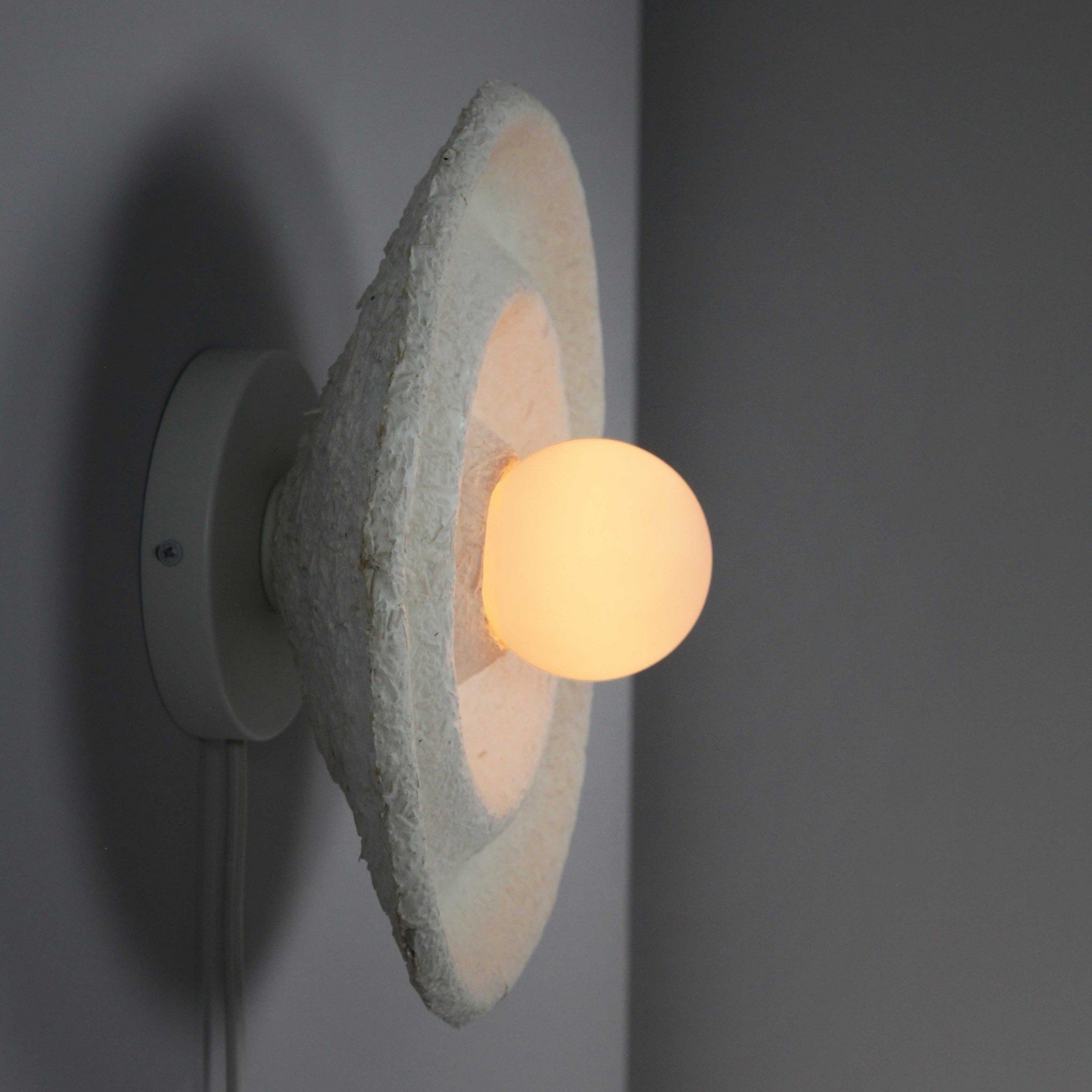 Mycelium，Sustainable development，reproducible ，environment protection，