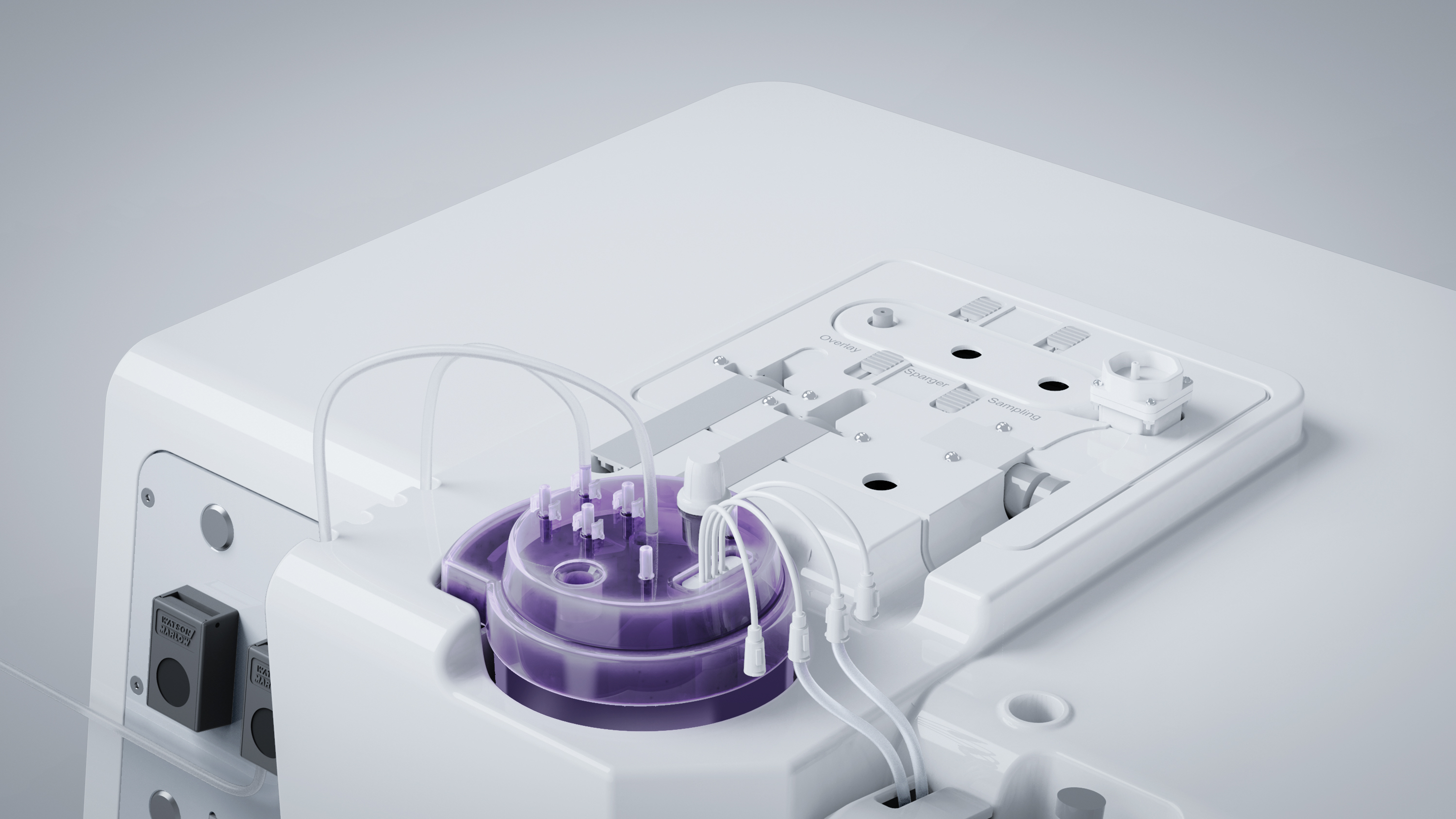 Supports culture of multiple cell types，