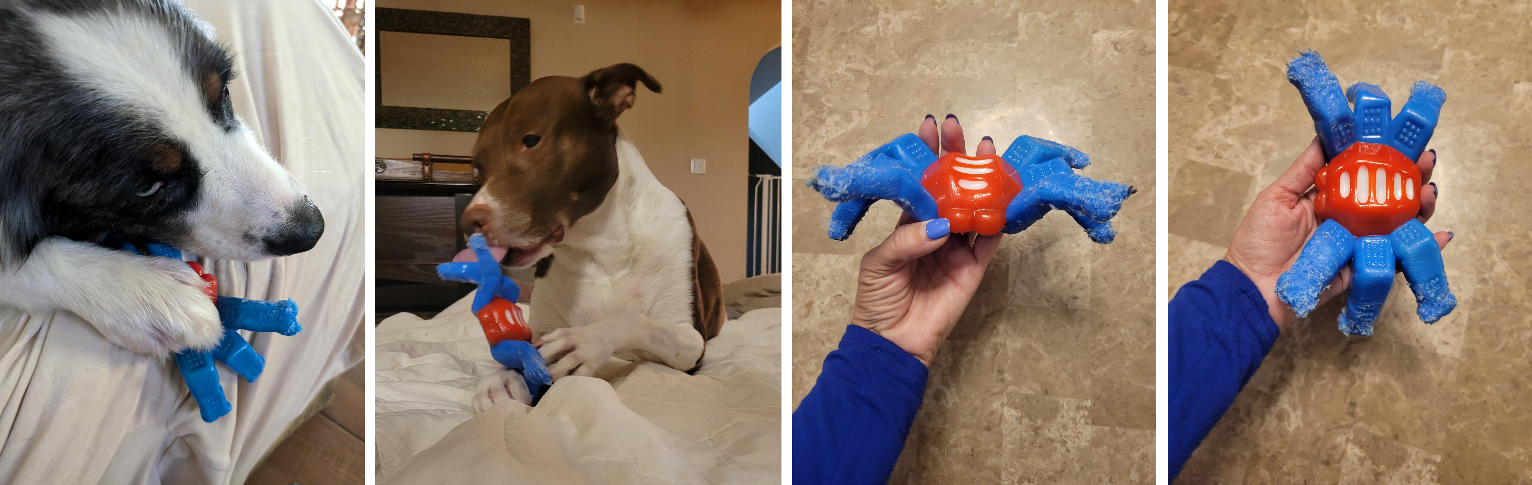 pet toy, nylon toy, dog, canine, pet, clean teeth，