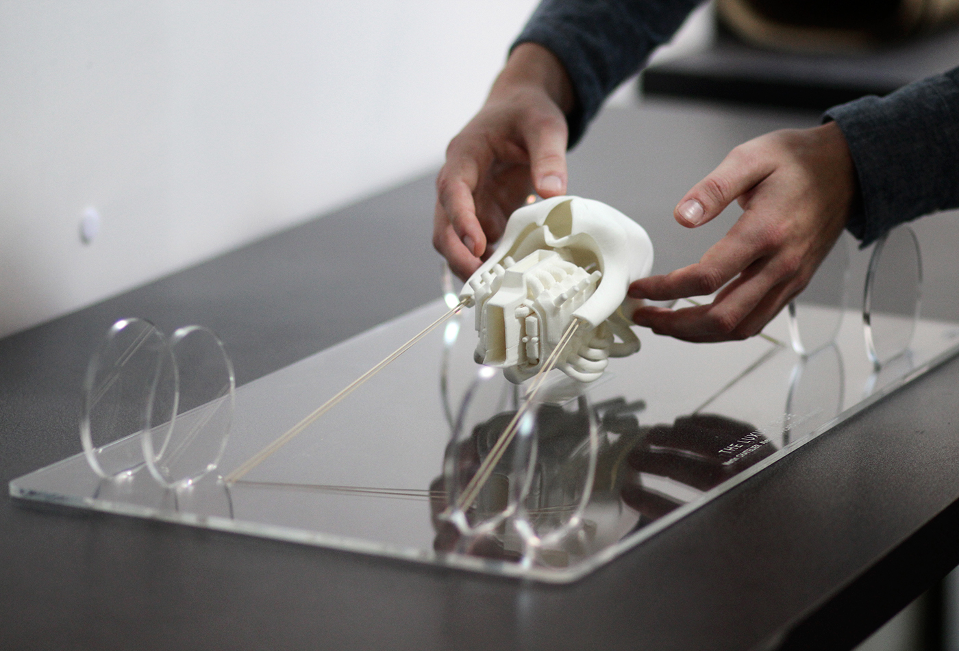 extravagant，insane，Automobile design，conceptual design，LUXURY RIDE，