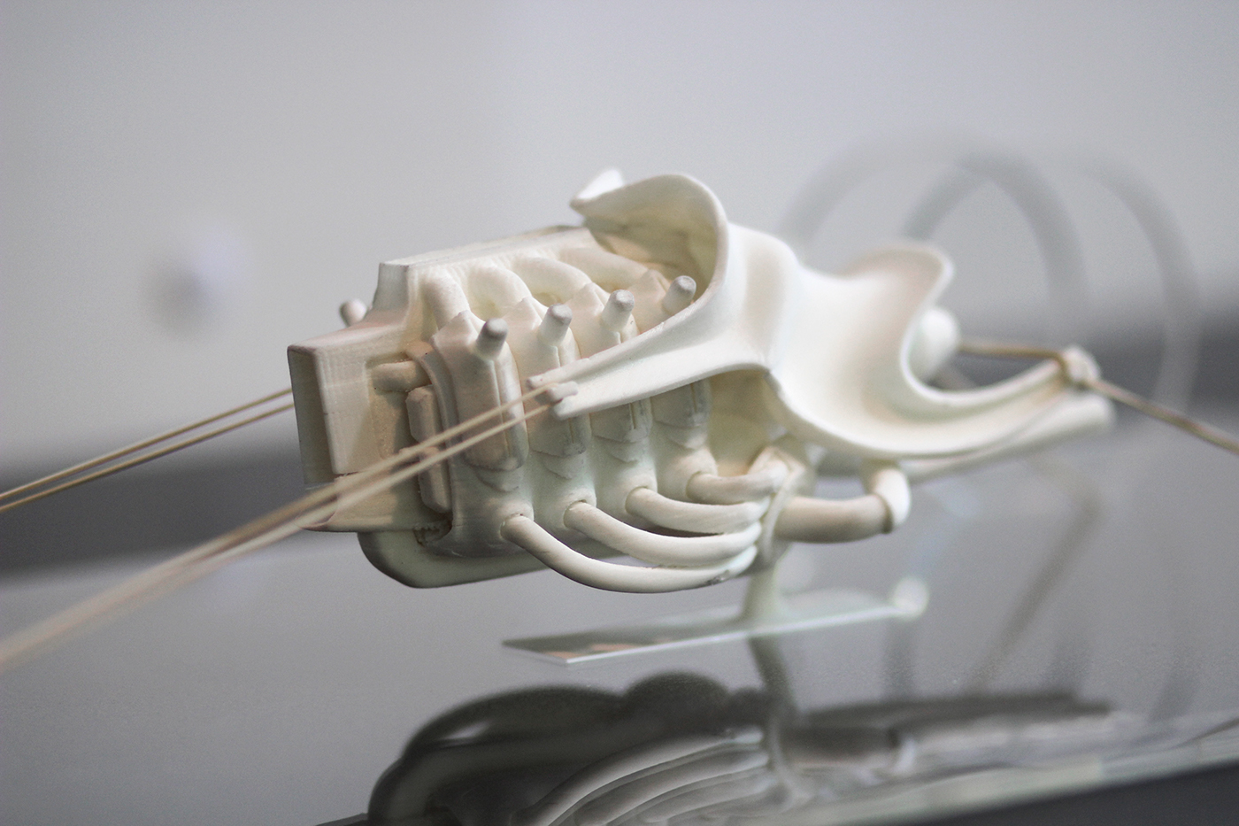 extravagant，insane，Automobile design，conceptual design，LUXURY RIDE，