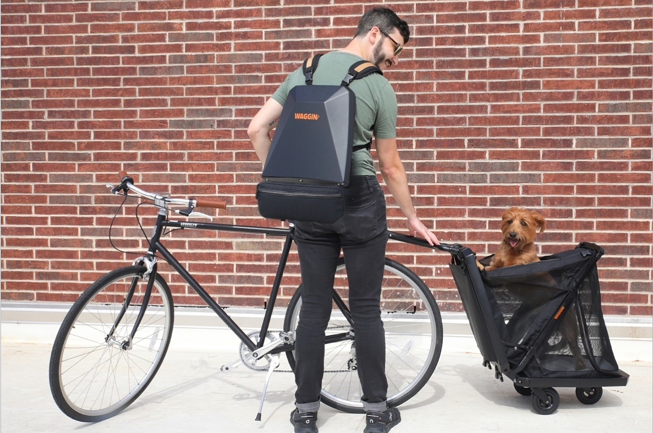 Bicycle，product design，Pets，trailer，