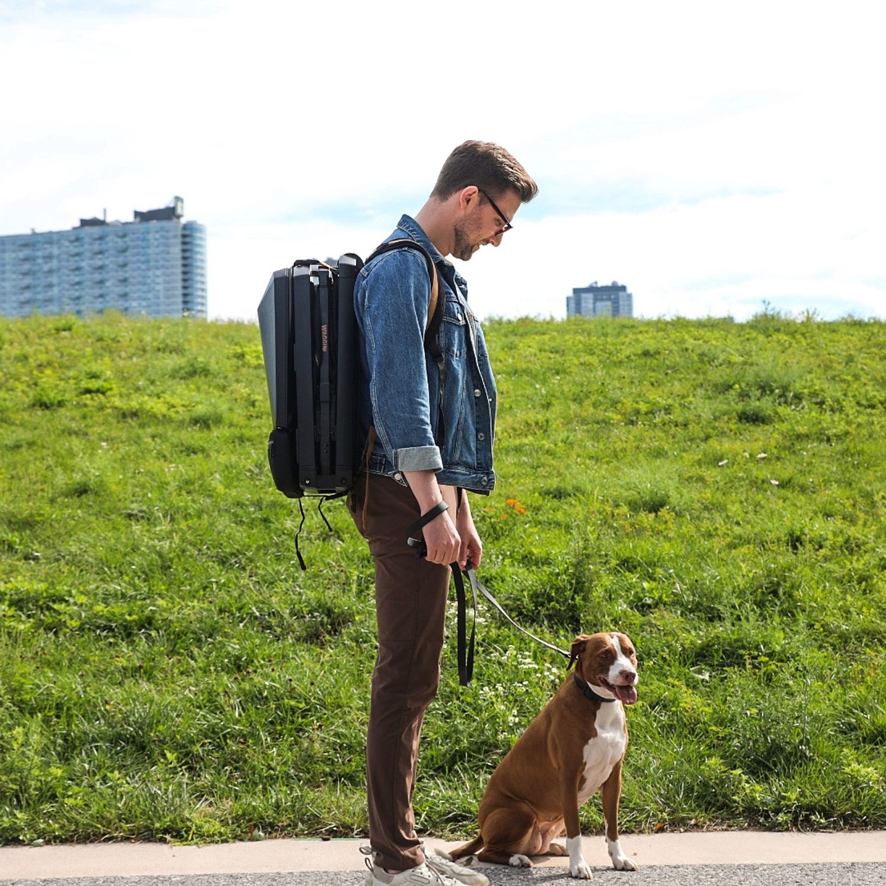 Bicycle，product design，Pets，trailer，