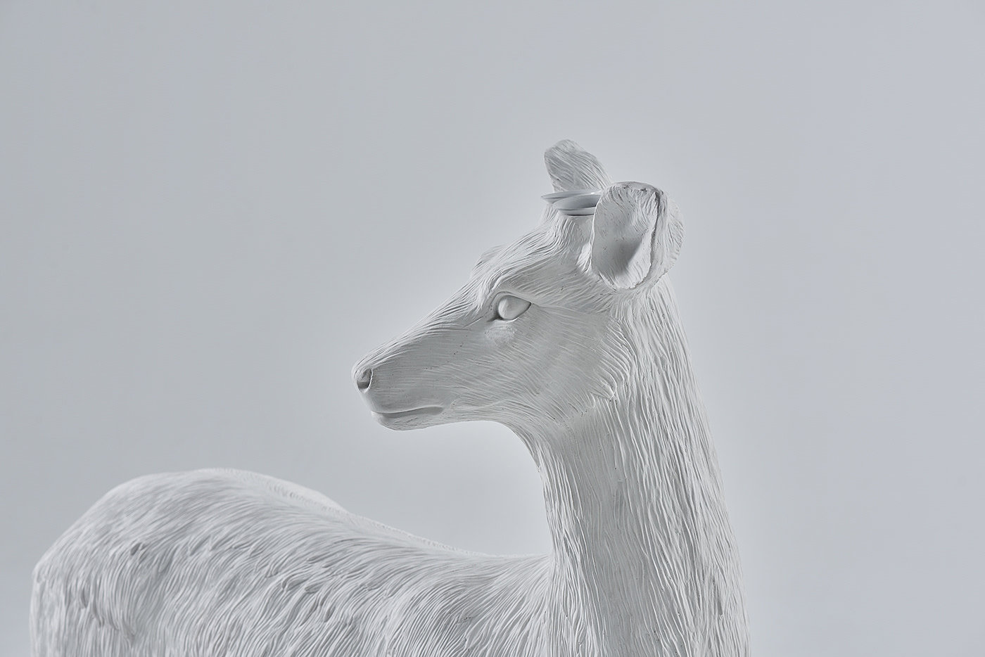 Creative lamps，lion，Lamp design，Creative products，pocket watch，clocks and watches，Hanging mirror，mirror，birds，Bird，Bionics Design ，white，Flowerpot design，Floral design ，deer，Sika deer，